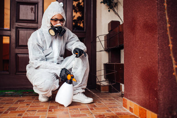 Reliable Ant Control contractor in Yuba City, CA by Nex Pest Control