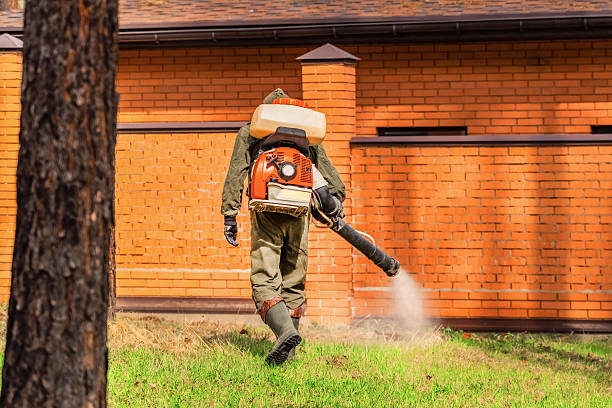 Trusted Bed Bug Control service in Yuba City, CA - Nex Pest Control